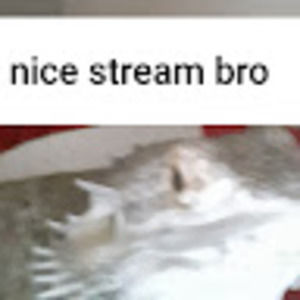 Meet your Posher, Wyatt